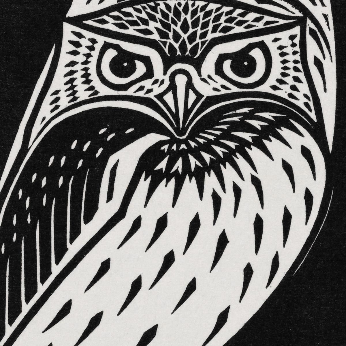 Two Owls Julie de Graag jdg64 canvas print
