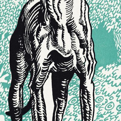 Greyhound 1912 3 Moriz Jung mjn17 canvas print