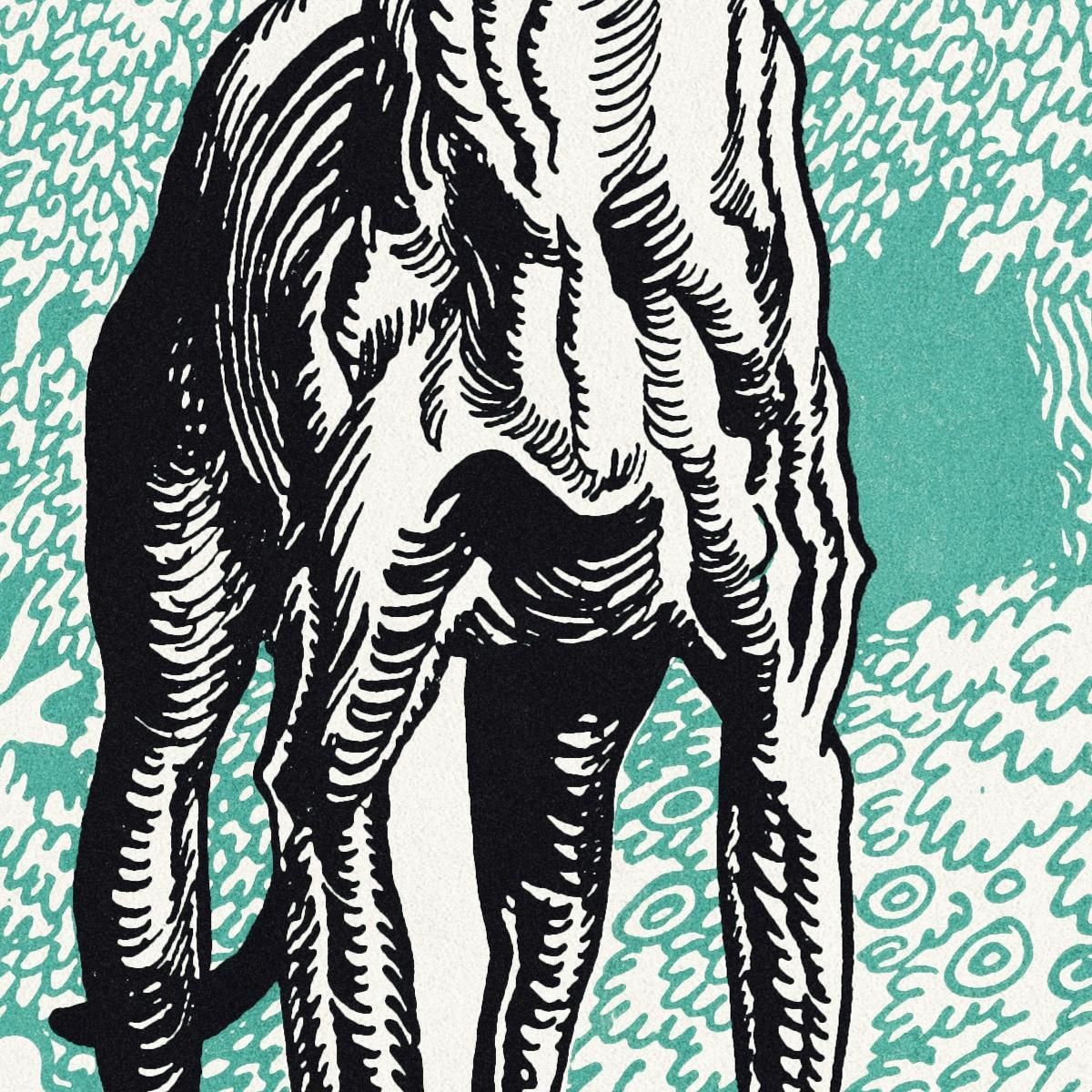 Greyhound 1912 3 Moriz Jung mjn17 canvas print
