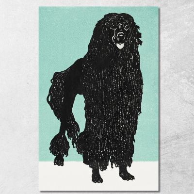 Poodle Moriz Jung mjn22 canvas print 