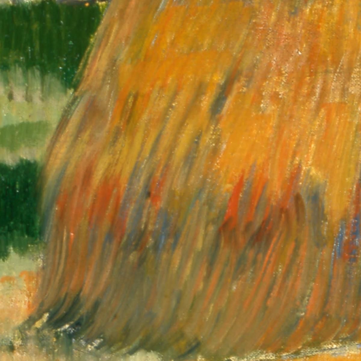 Landscape Near Arles Paul Gauguin pgg47 canvas print