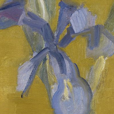 Irises Piet Mondrian pmn46 canvas print