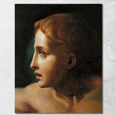 Head Of A Youth Théodore Géricault tgr17 canvas print 