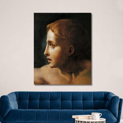 Head Of A Youth Théodore Géricault tgr17 canvas print 