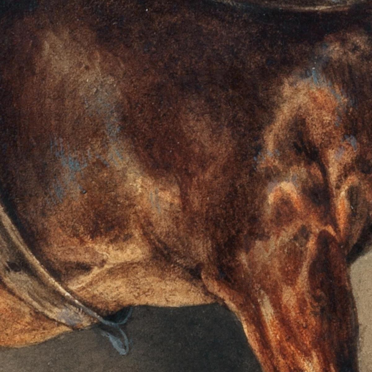 The Plastermaker'S Horse Théodore Géricault tgr22 canvas print