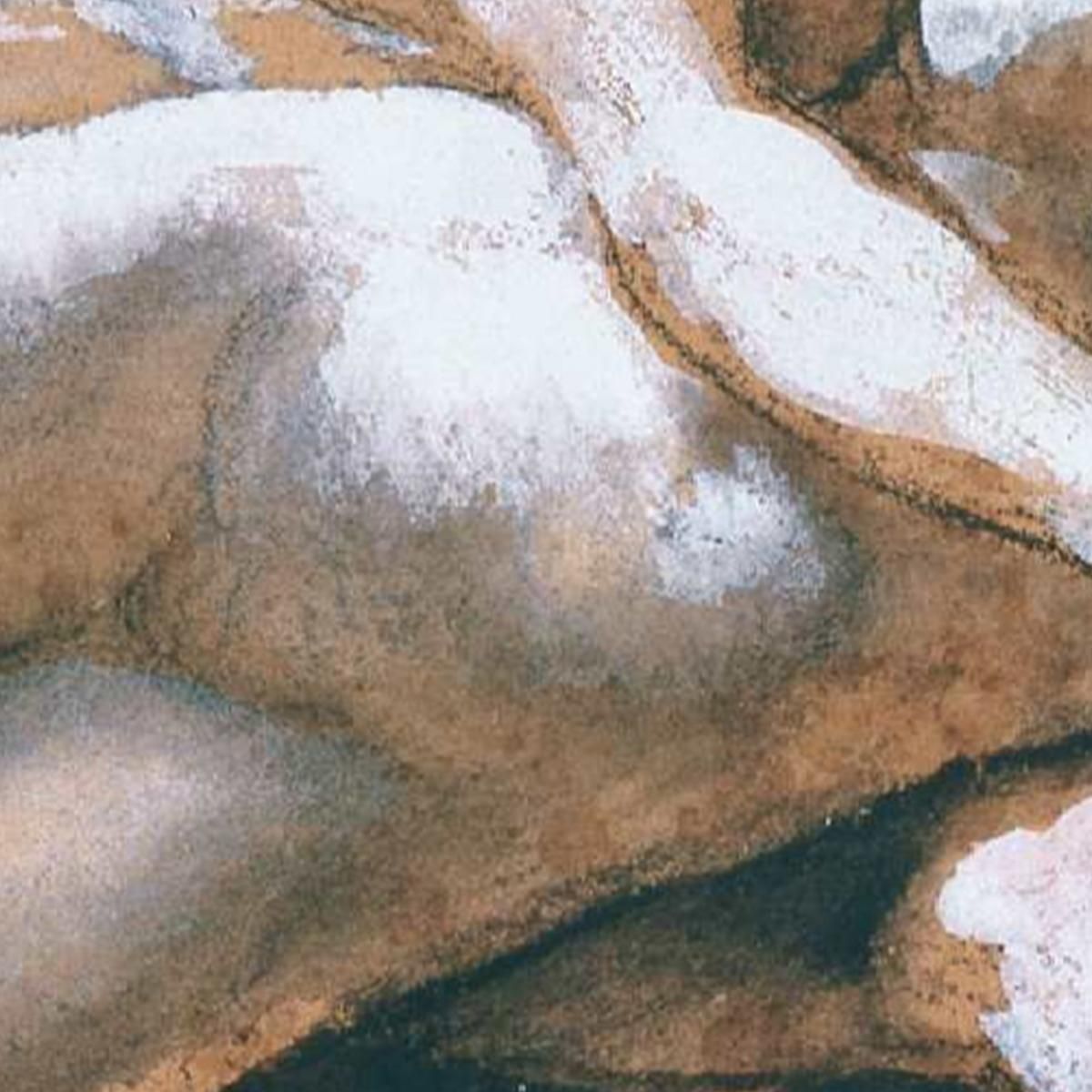 The Kiss Charcoal Sepia Wash And White Gouache On Paper Théodore Géricault tgr49 canvas print