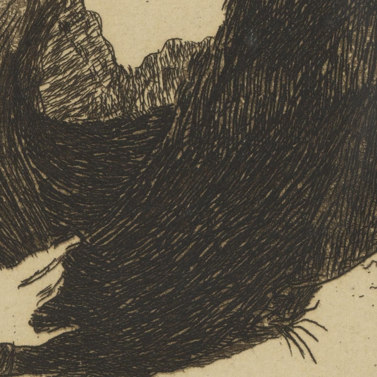 Spanish Woman Édouard Manet emt101 canvas print